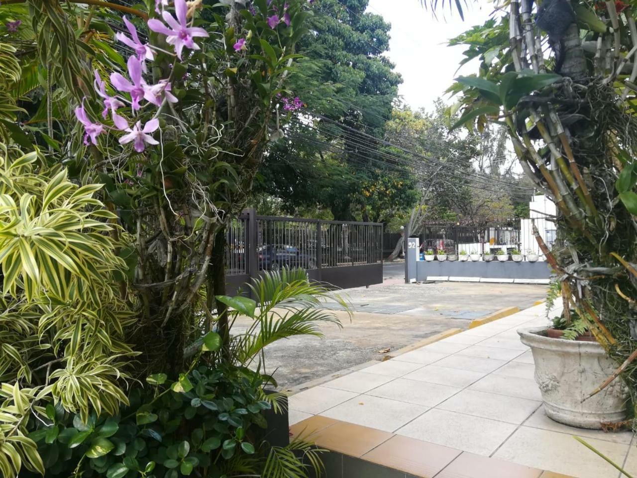 Jardines Del Teatro Hotel Santo Domingo Kültér fotó